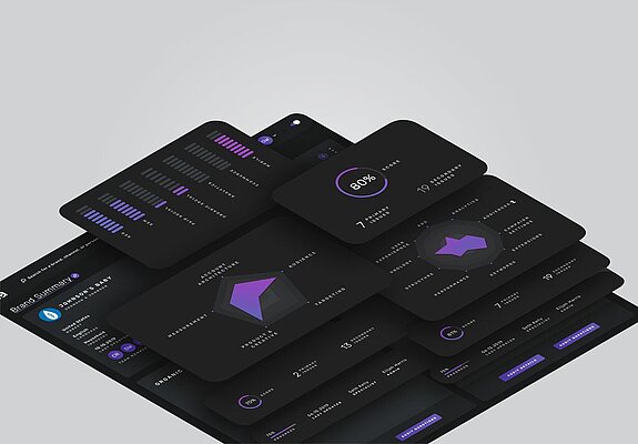 DXA — Digital Experience Audit — beeld 2